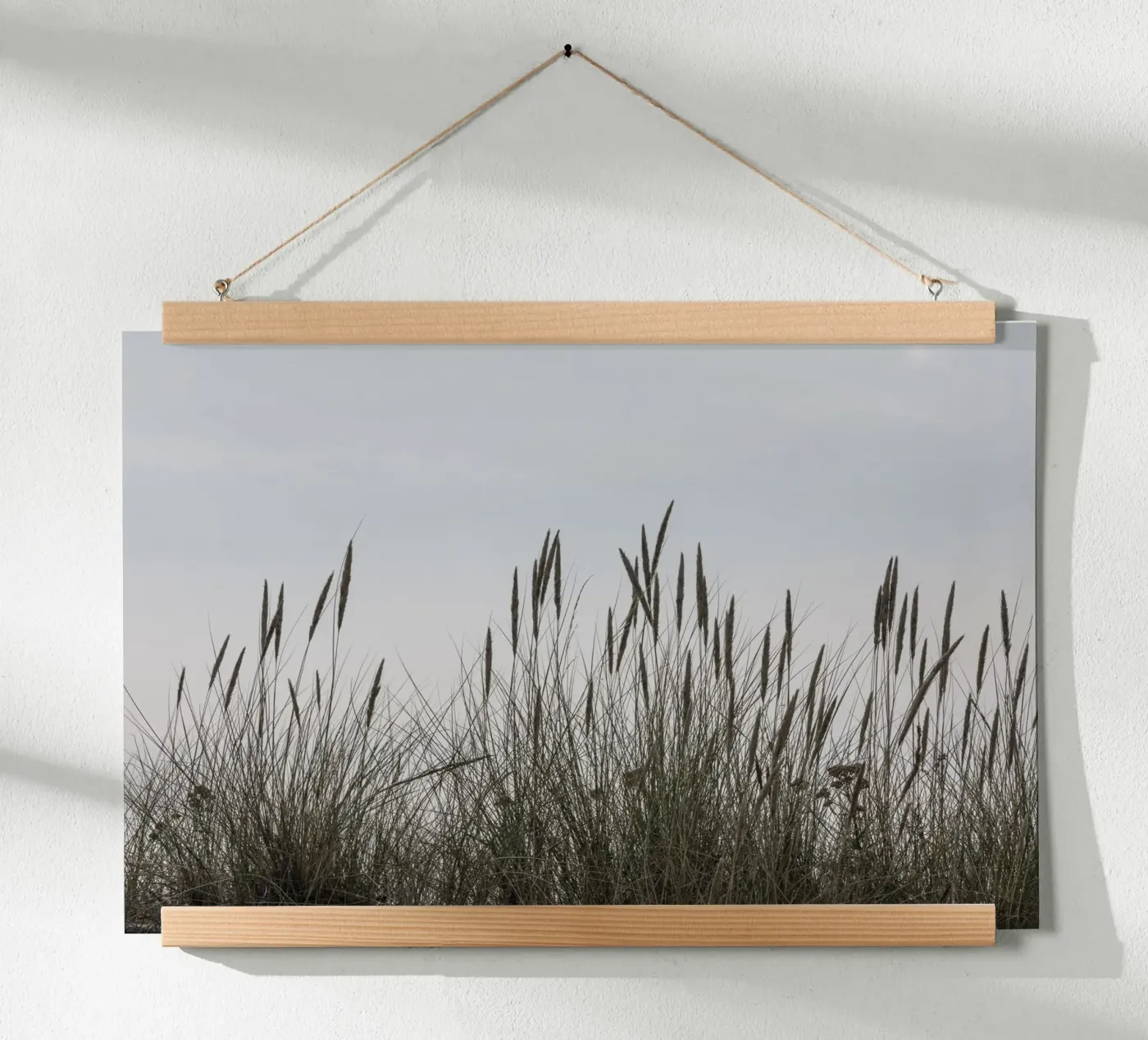 Wild grasses poster da Barbara Buderath Fotodesign