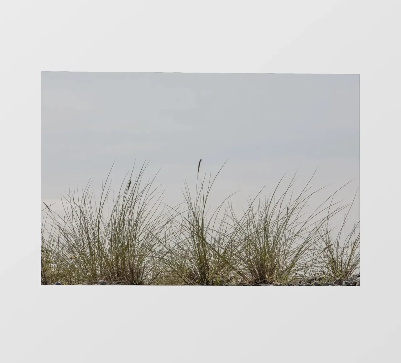 Erbe di spiaggia telo in pvc da Barbara Buderath Fotodesign