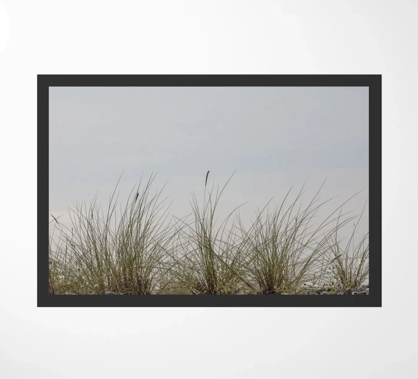 Beach grasses doormat by Barbara Buderath Fotodesign