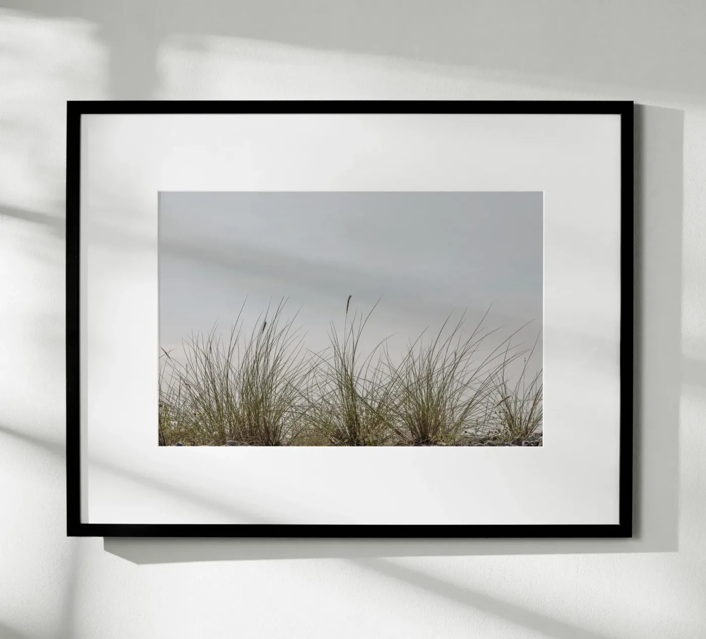 Beach grasses poster by Barbara Buderath Fotodesign