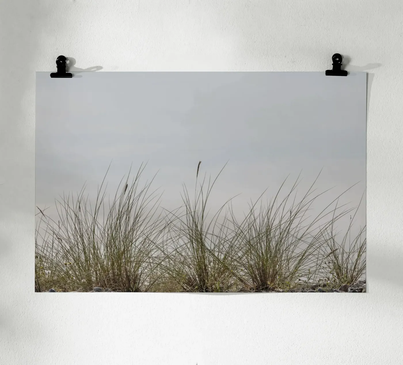Beach grasses poster by Barbara Buderath Fotodesign