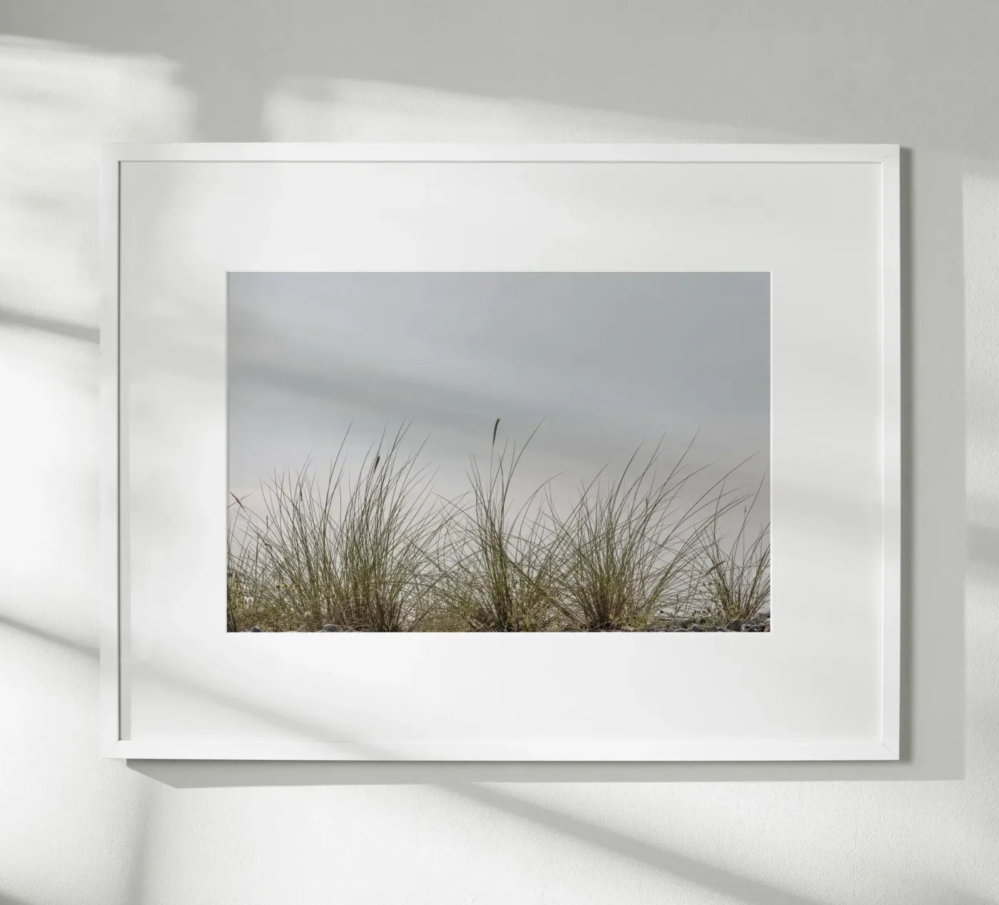 Beach grasses poster by Barbara Buderath Fotodesign