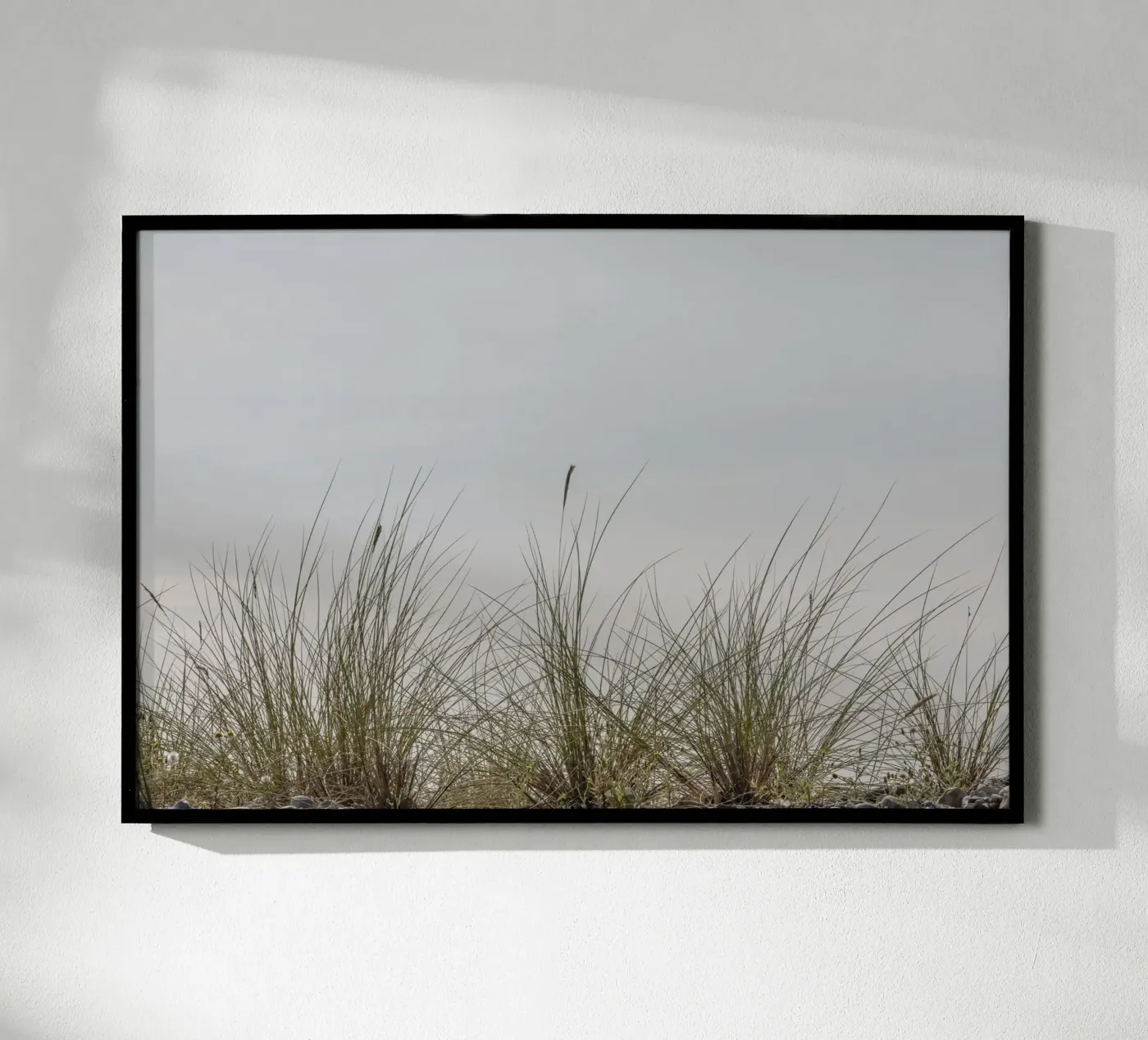Beach grasses poster by Barbara Buderath Fotodesign