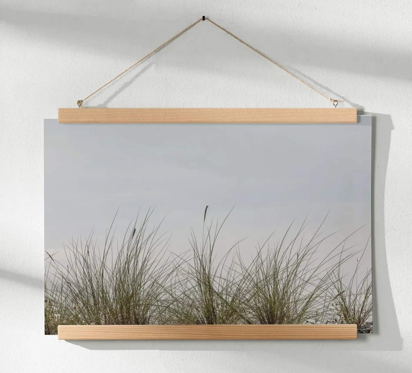 Beach grasses poster by Barbara Buderath Fotodesign