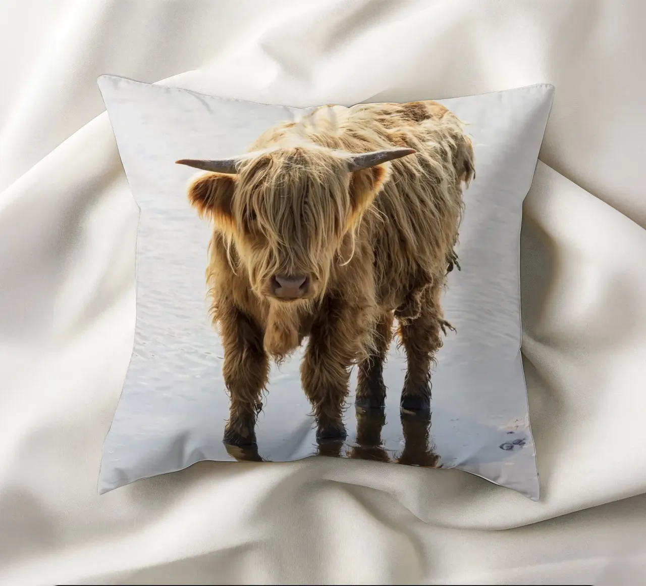 Highland Cattle cuscino da Barbara Buderath Fotodesign