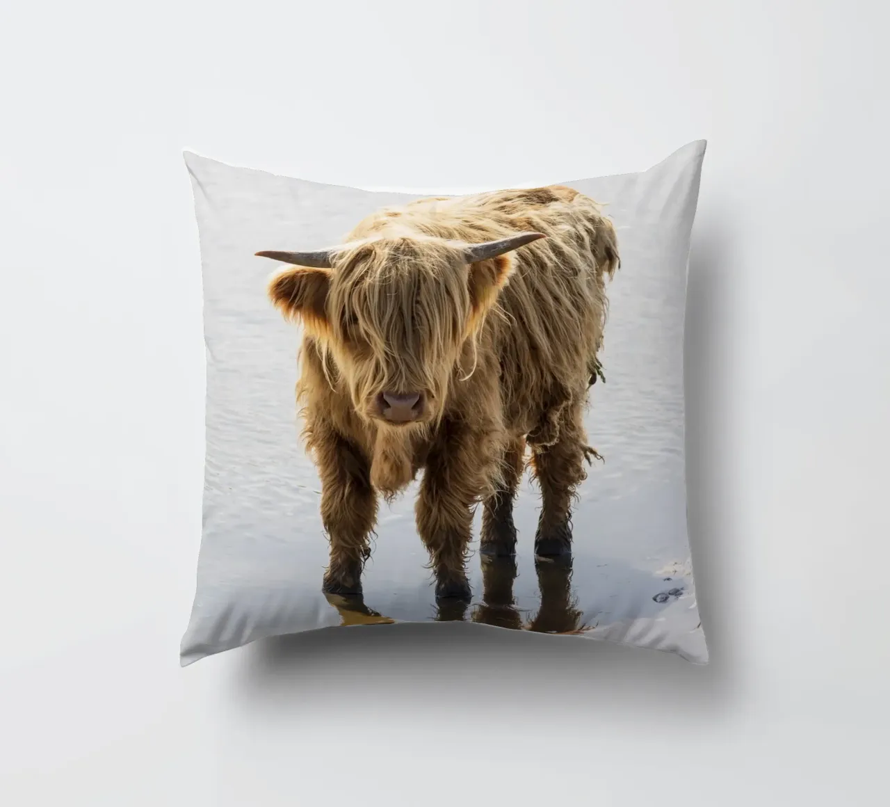 Highland Cattle cuscino da Barbara Buderath Fotodesign