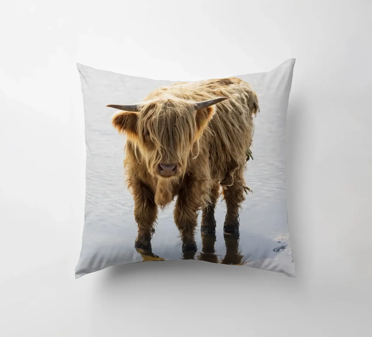 Highland Cattle cuscino da Barbara Buderath Fotodesign