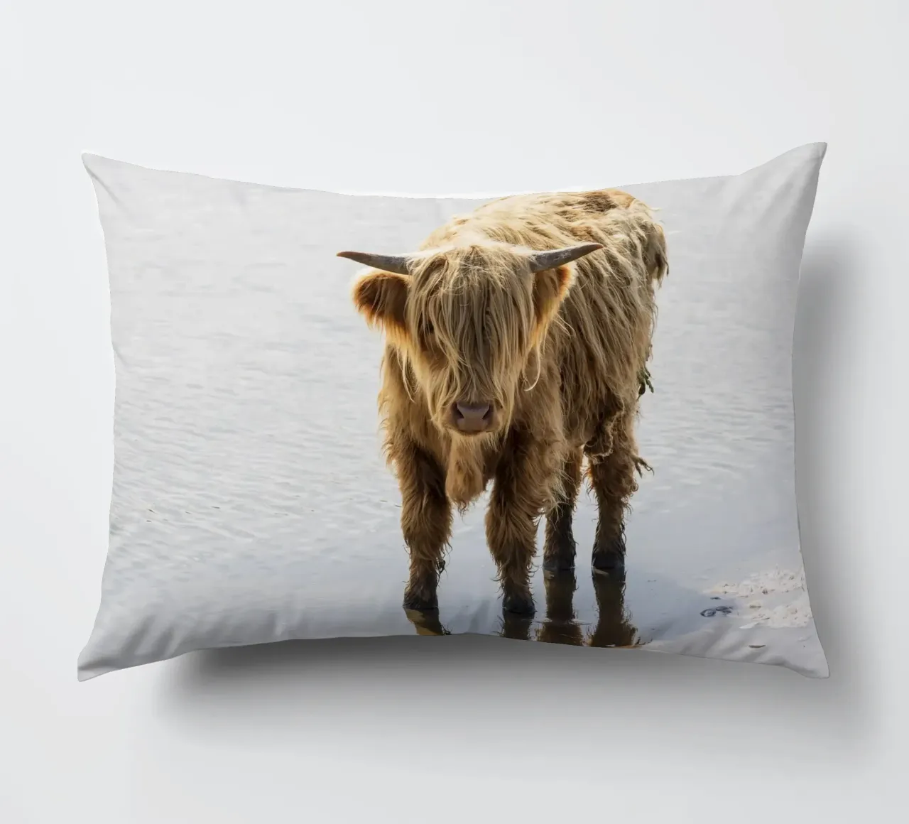 Highland Cattle cuscino da Barbara Buderath Fotodesign