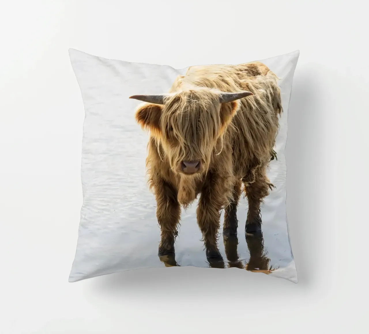 Highland Cattle cuscino da Barbara Buderath Fotodesign