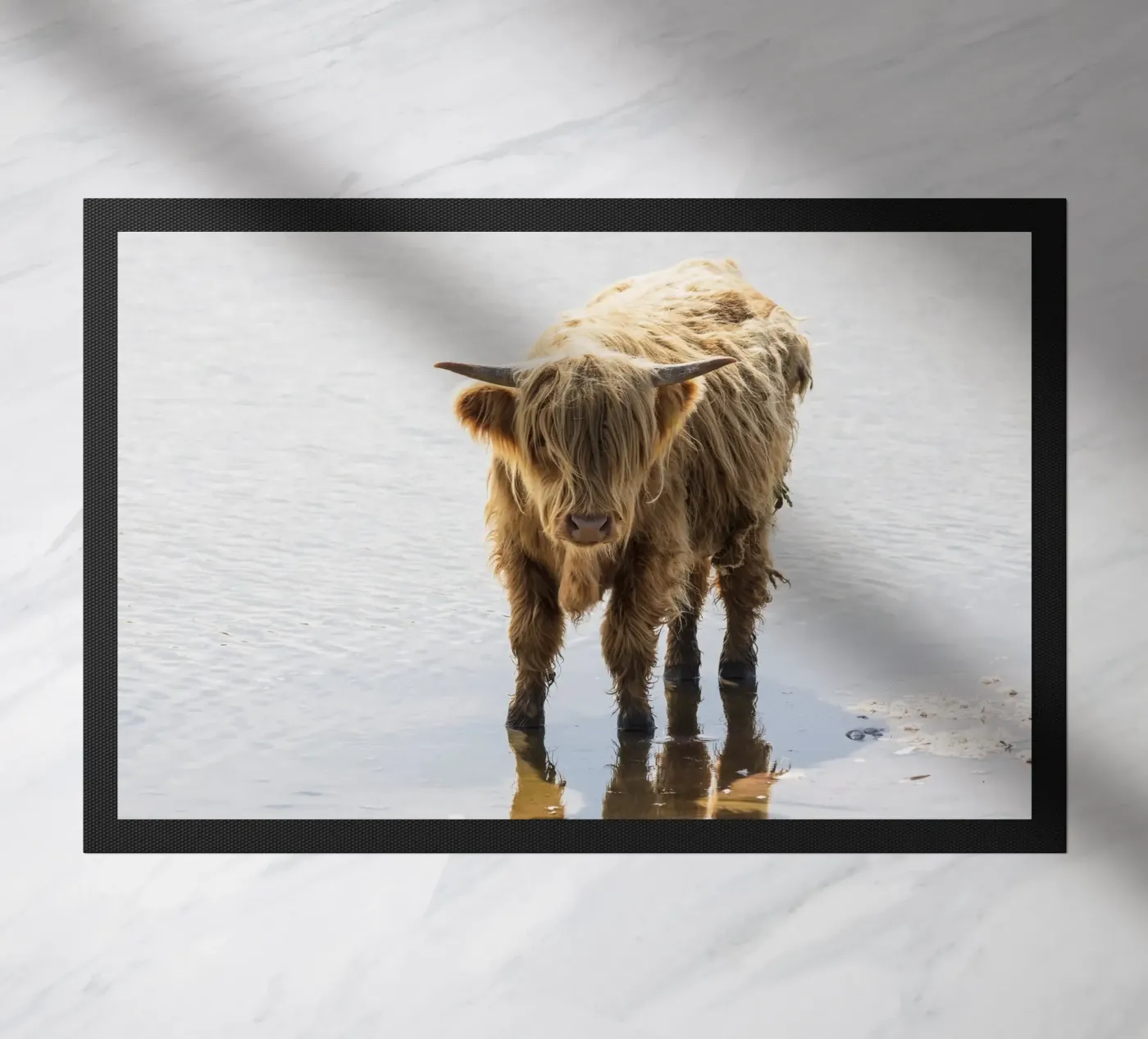 Highland Cattle zerbino da Barbara Buderath Fotodesign