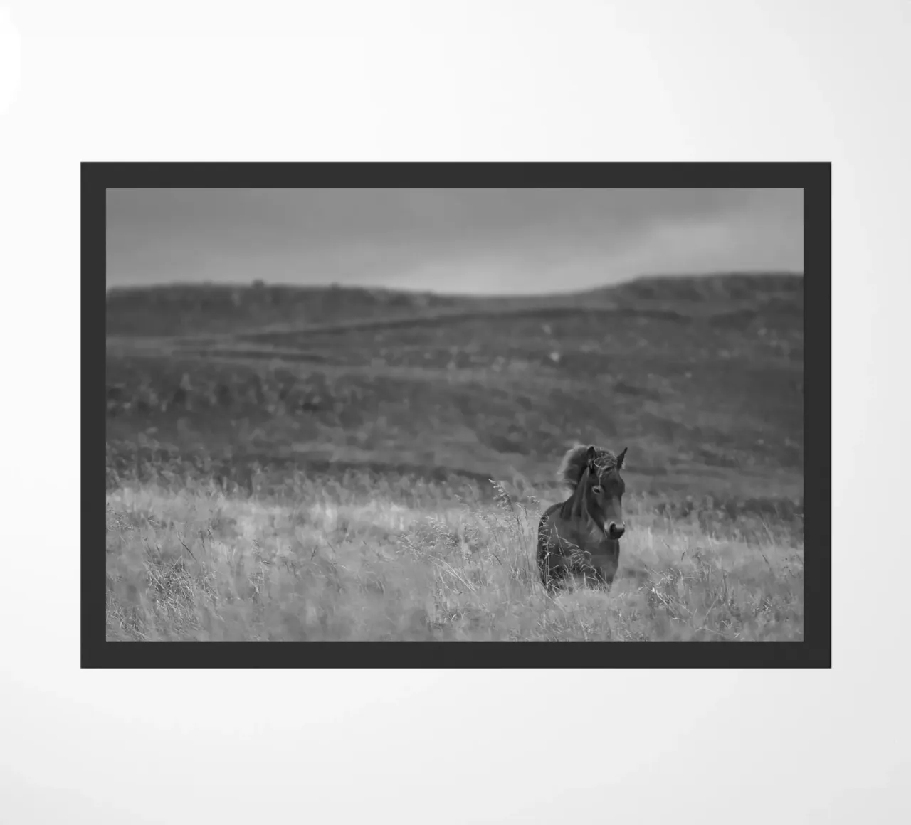 Tough Guy zerbino da Nur Mut