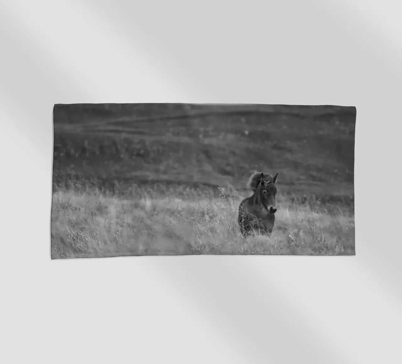 Tough Guy telo mare da Nur Mut