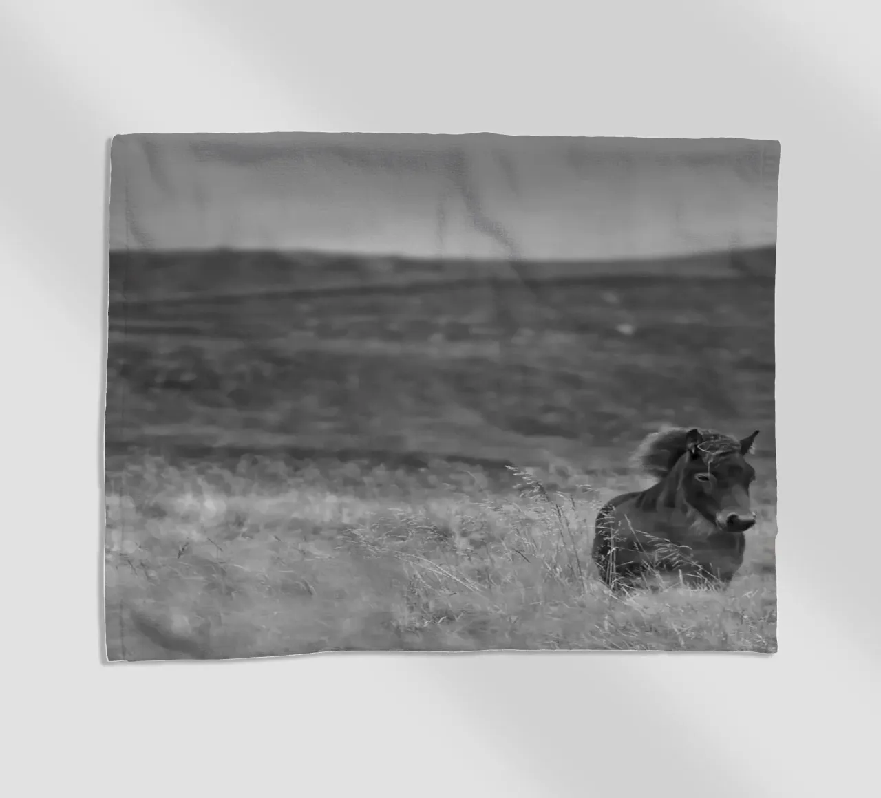 Tough Guy telo mare da Nur Mut