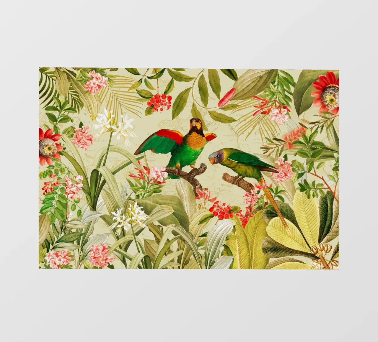 Colorful Nostalgic Exotic Parrots In a Tropical Jungle photo wallpaper by Vintage World - Uta Naumann