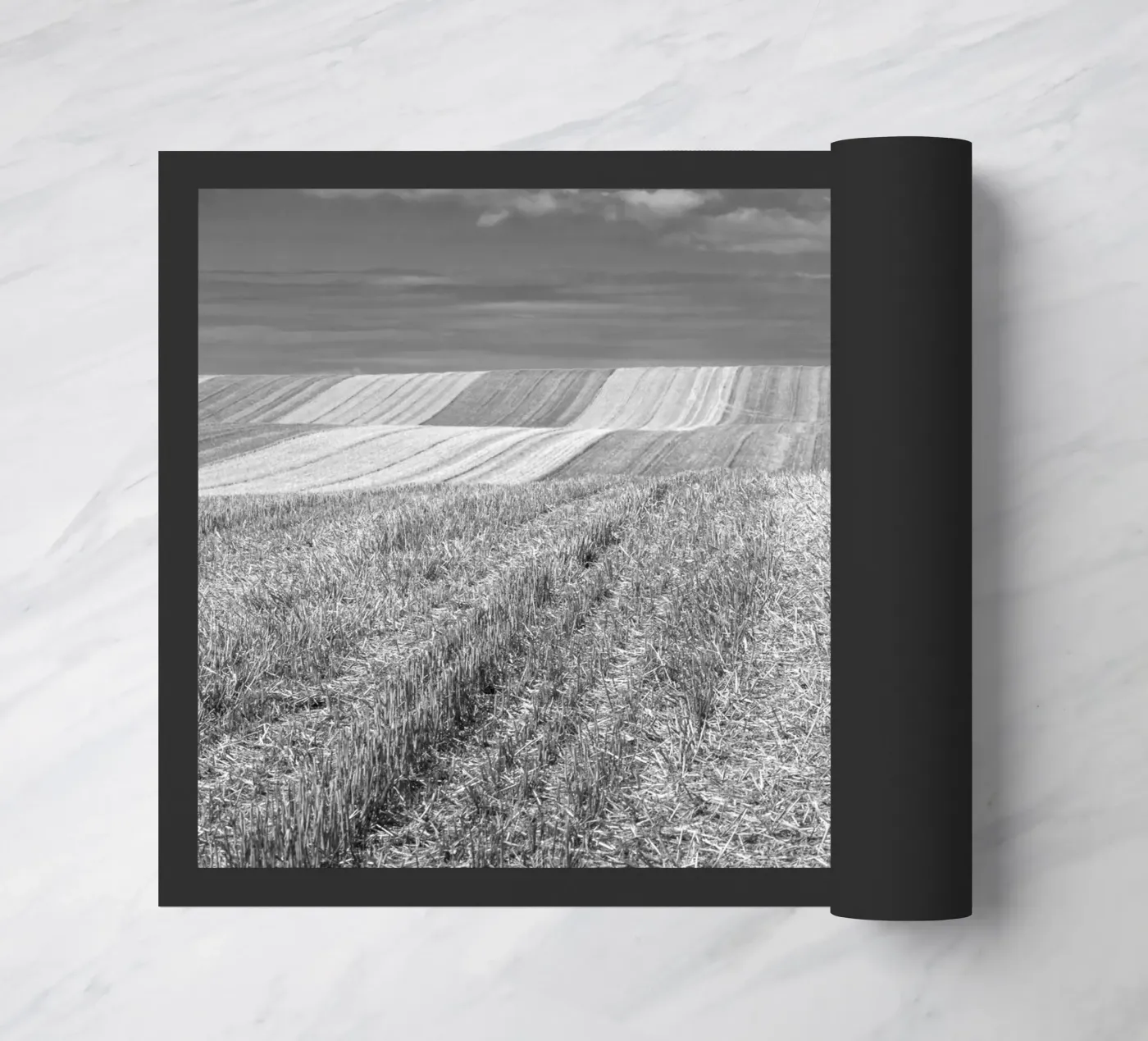 Stubble fields doormat by Barbara Buderath Fotodesign