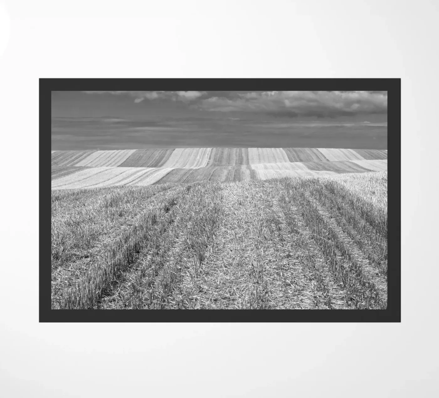 Stubble fields doormat by Barbara Buderath Fotodesign