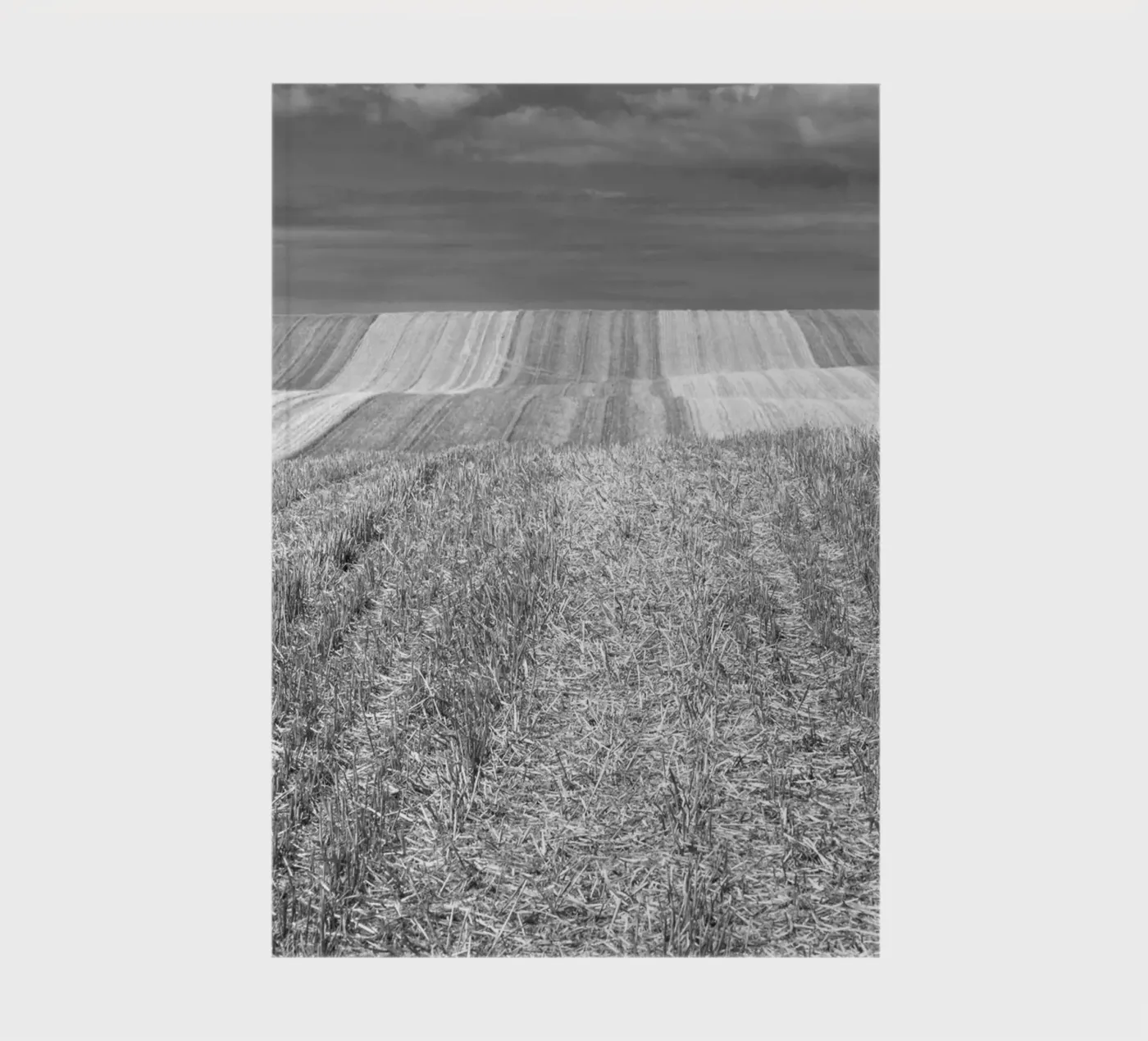 Stubble fields Notizbuch von Barbara Buderath Fotodesign