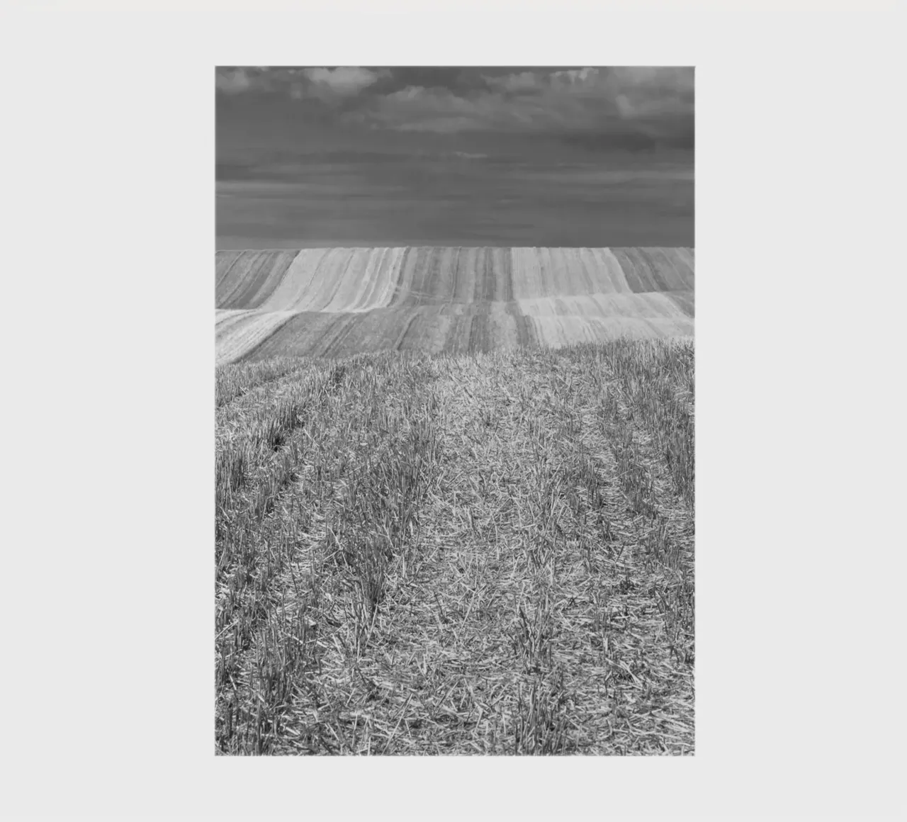 Stubble fields notebook by Barbara Buderath Fotodesign