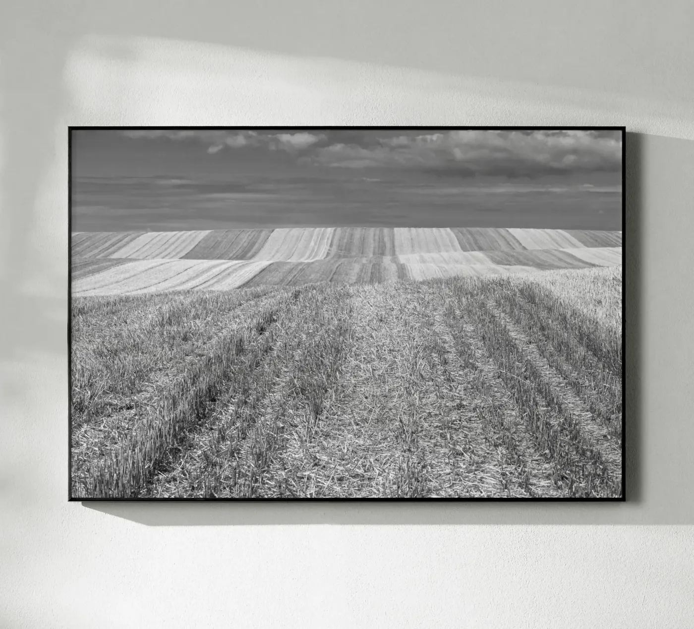 Champs de chaume plexiglas de Barbara Buderath Fotodesign