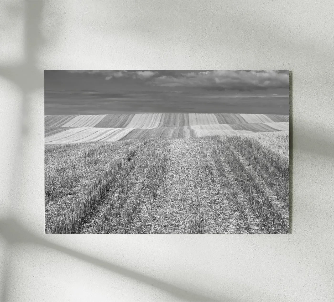 Stubble fields plexiglass da Barbara Buderath Fotodesign
