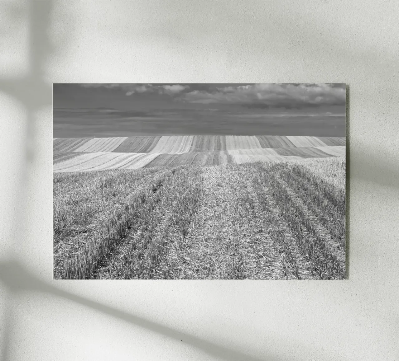 Stubble fields Acryl-Glas von Barbara Buderath Fotodesign