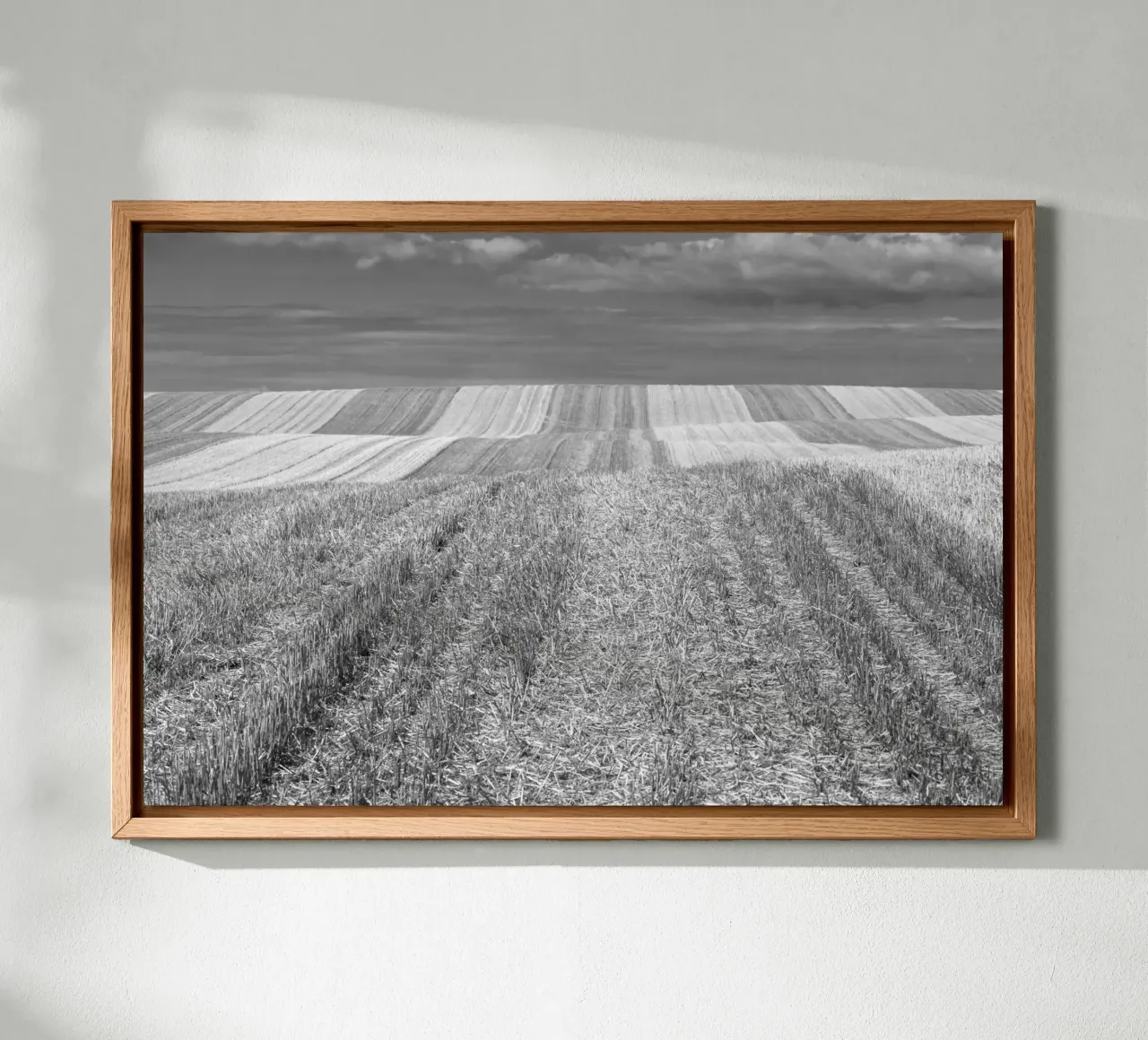 Stubble fields alu-dibond by Barbara Buderath Fotodesign