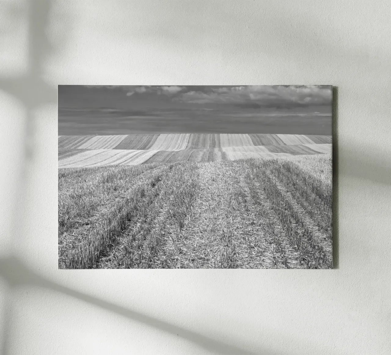 Stubble fields canvas by Barbara Buderath Fotodesign