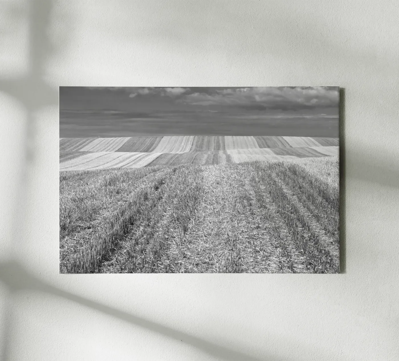 Stoppelfelder Leinwand von Barbara Buderath Fotodesign