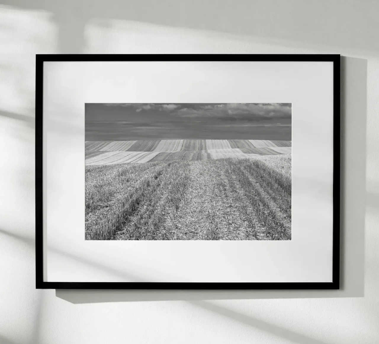 Stubble fields poster by Barbara Buderath Fotodesign