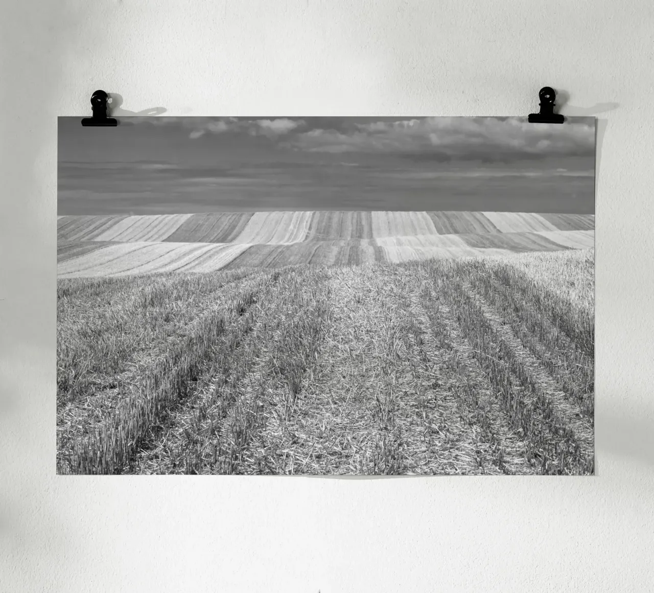 Stubble fields poster by Barbara Buderath Fotodesign