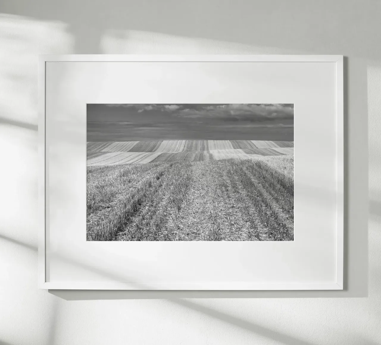 Stubble fields poster by Barbara Buderath Fotodesign