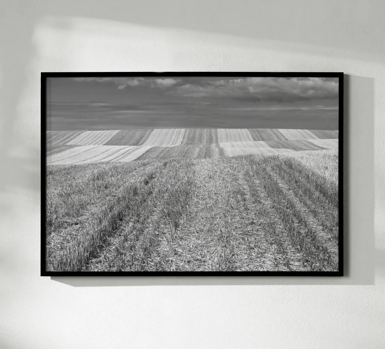 Stubble fields poster by Barbara Buderath Fotodesign