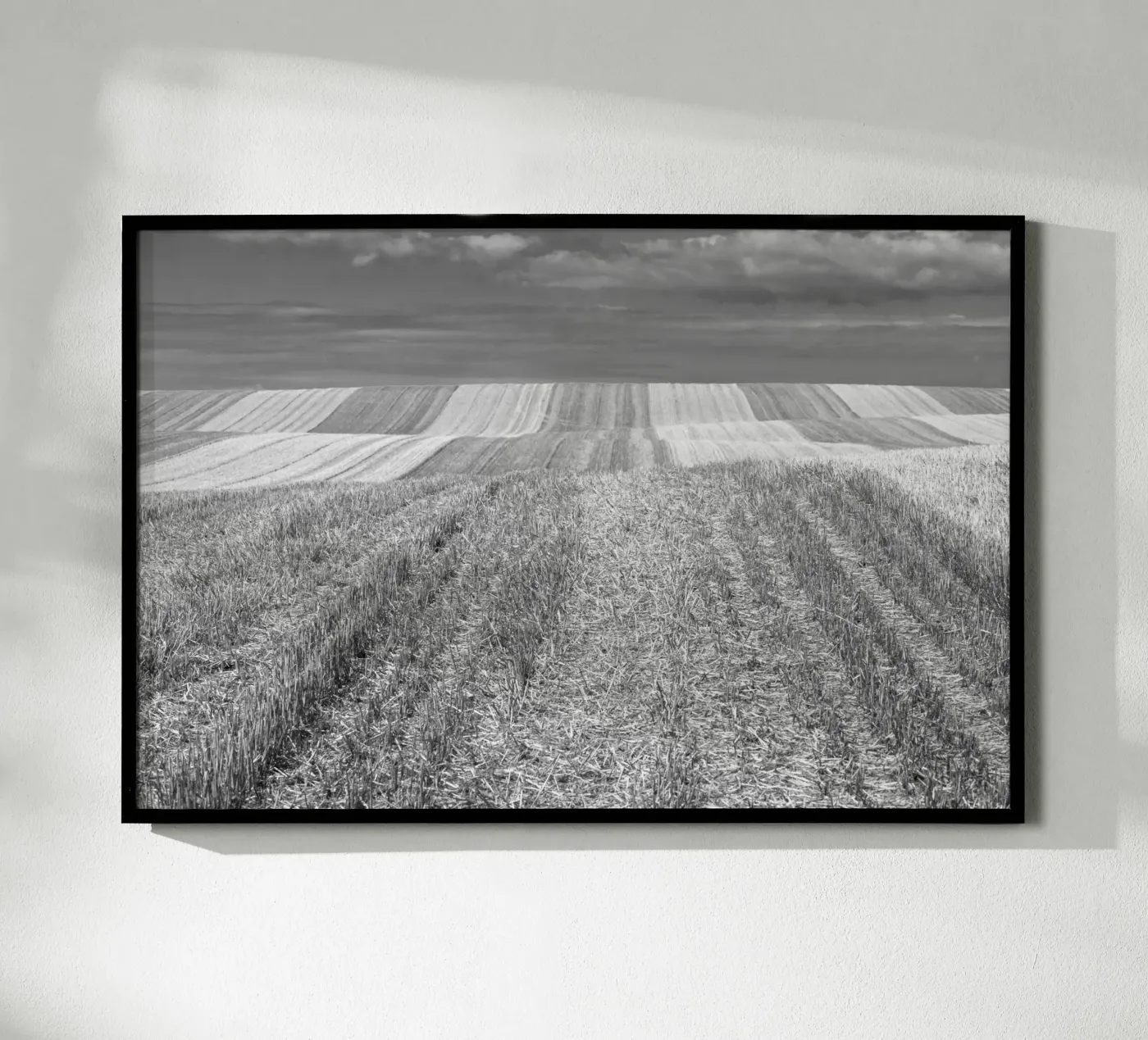 Champs de chaume poster de Barbara Buderath Fotodesign