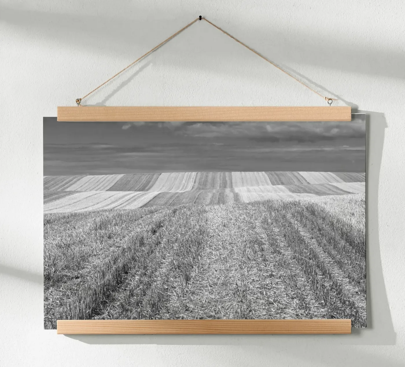 Champs de chaume poster de Barbara Buderath Fotodesign