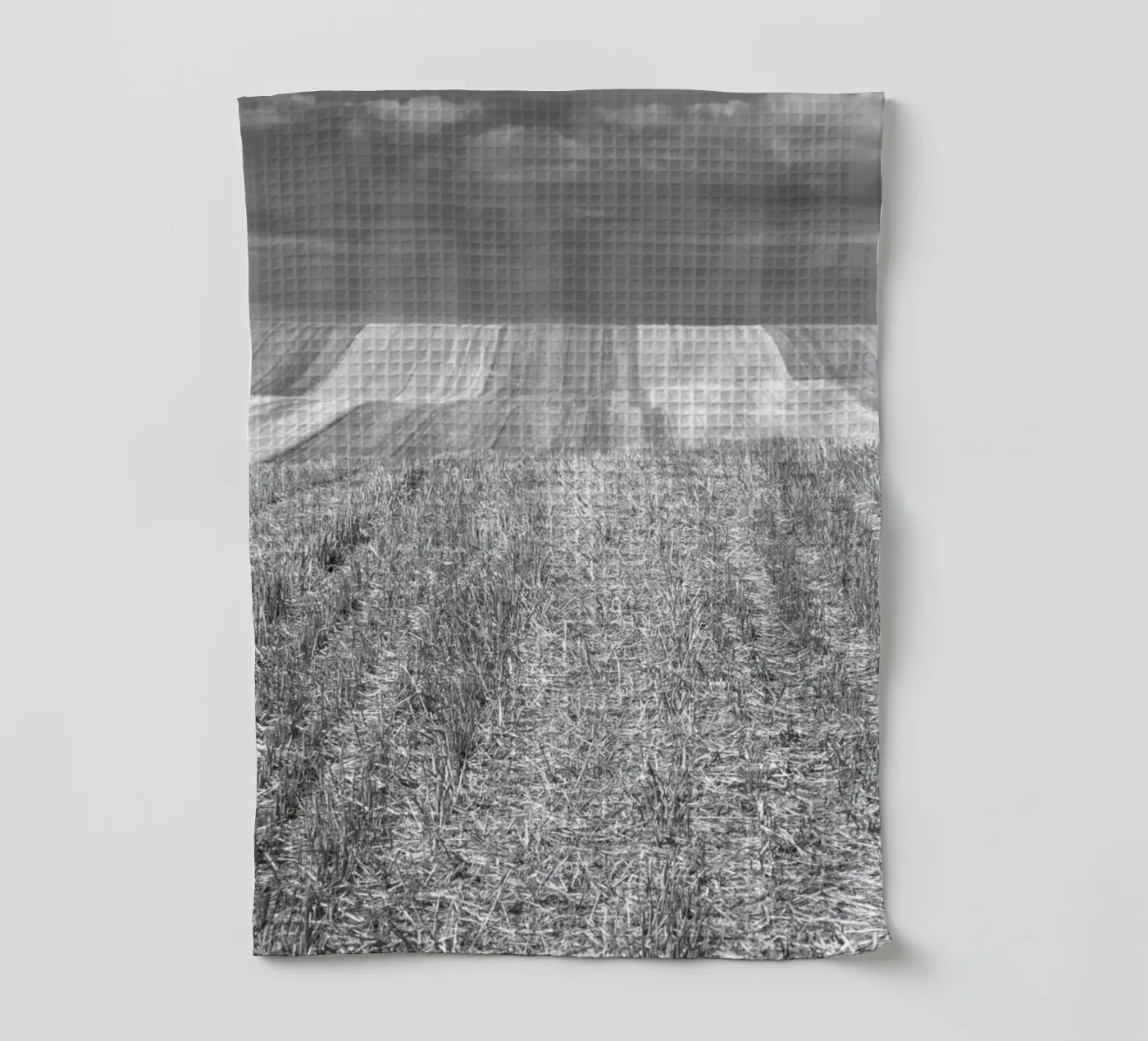 Stubble fields tea towel by Barbara Buderath Fotodesign