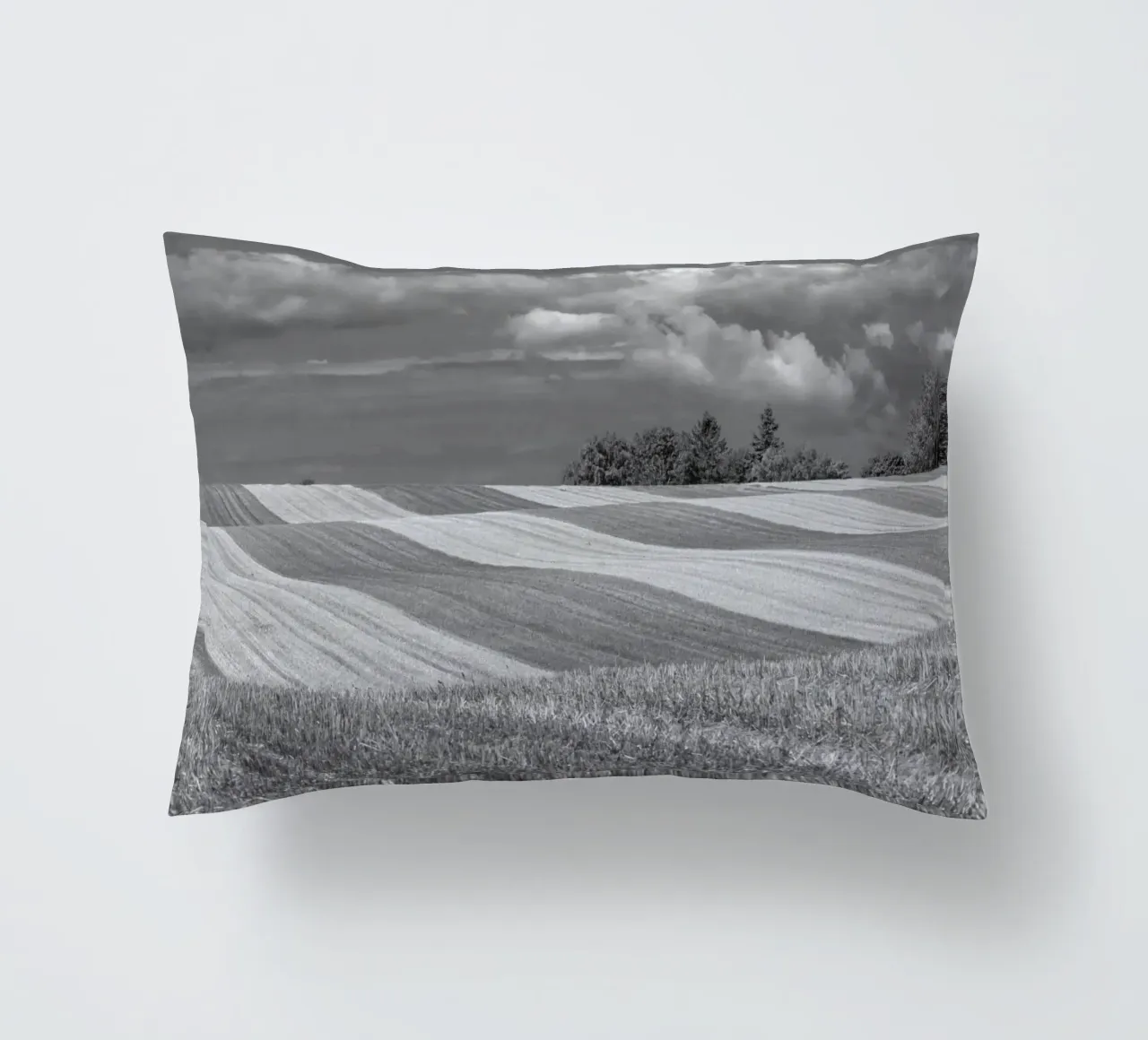Stubble fields 2 decorative cushion by Barbara Buderath Fotodesign