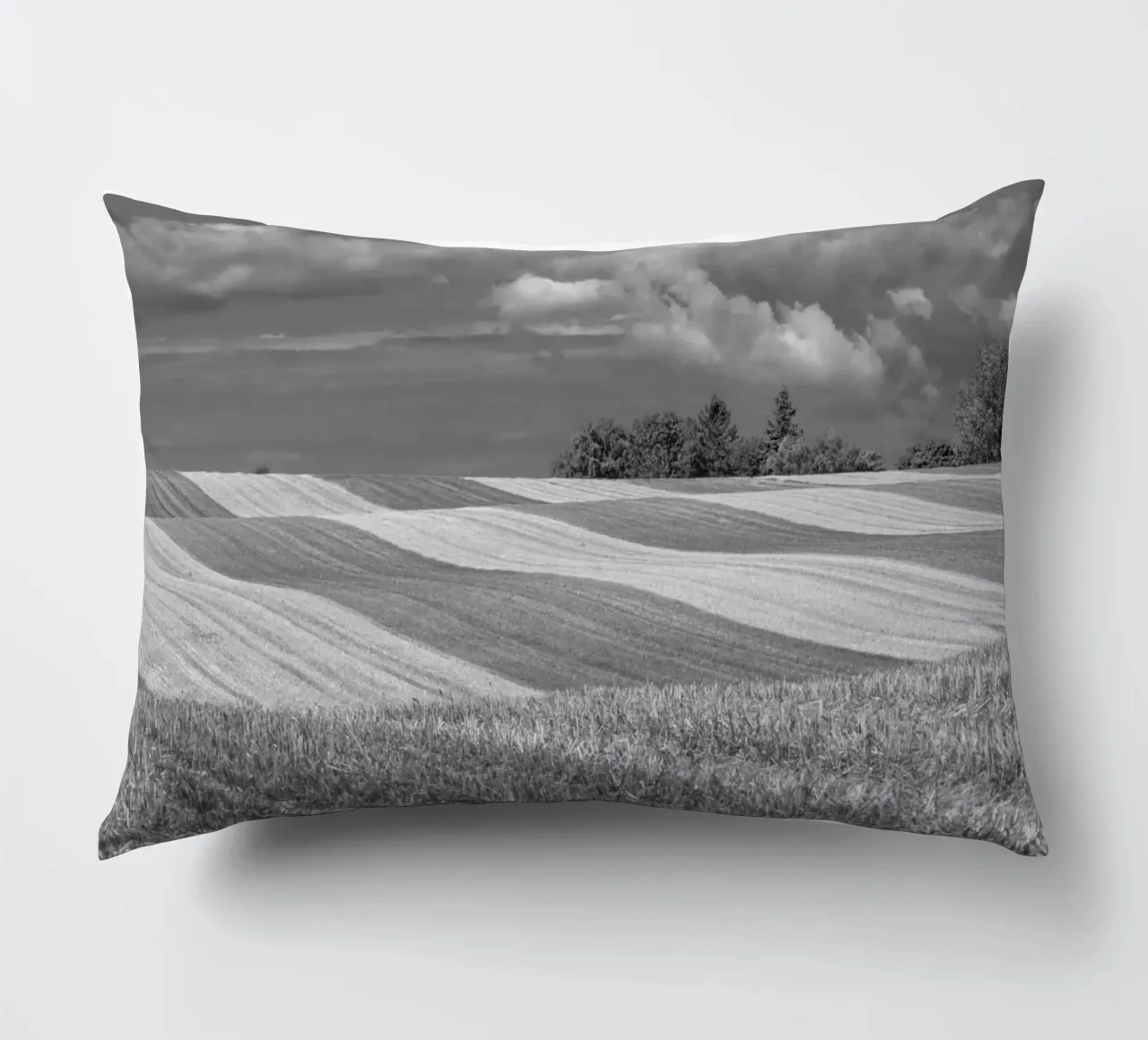 Stubble fields 2 decorative cushion by Barbara Buderath Fotodesign