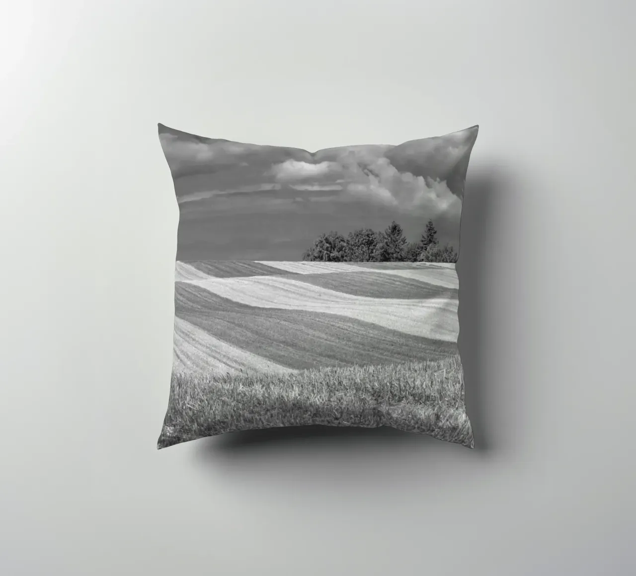 Stubble fields 2 decorative cushion by Barbara Buderath Fotodesign