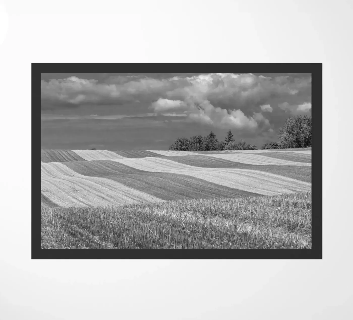 Stubble fields 2 doormat by Barbara Buderath Fotodesign