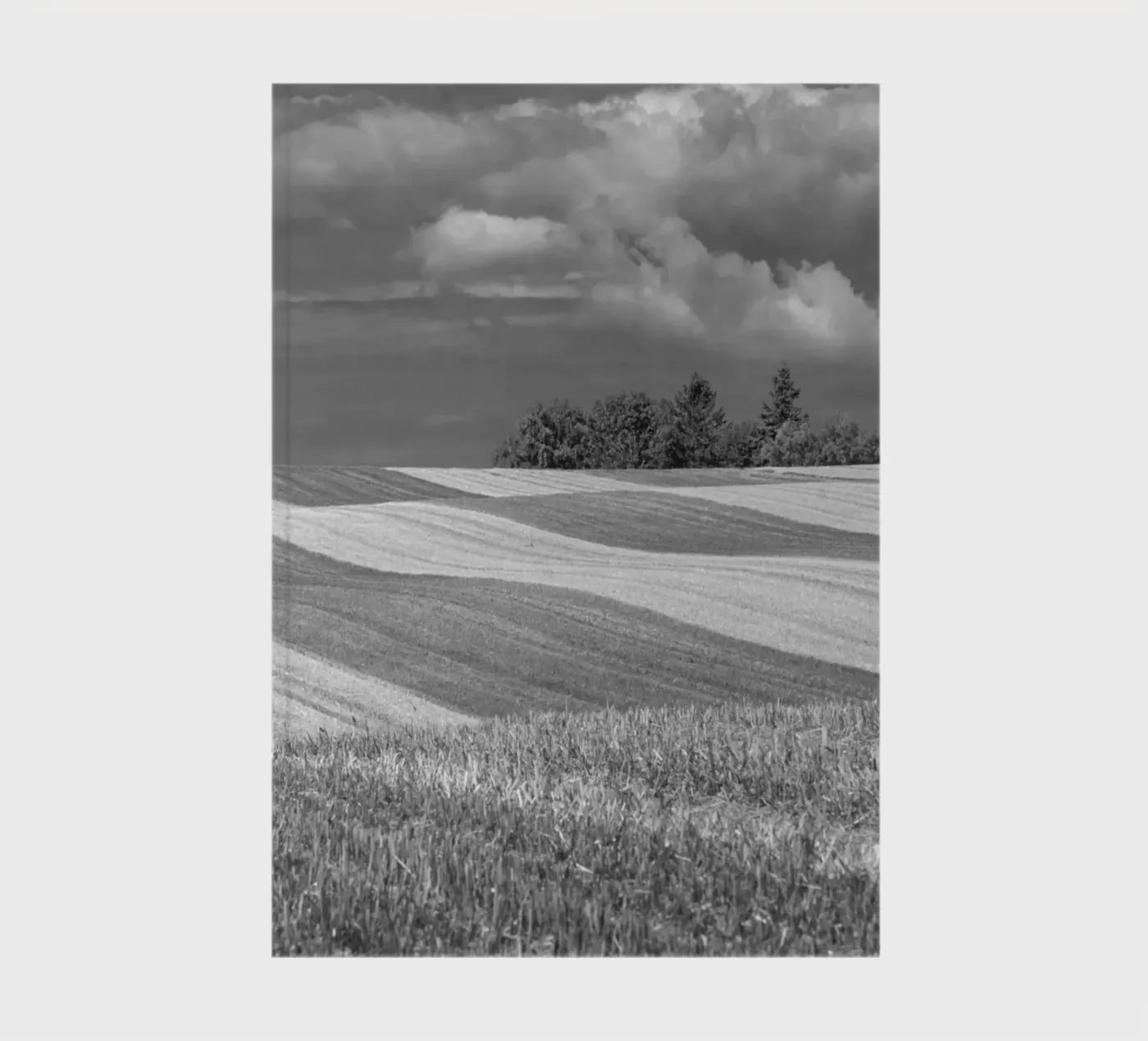Stubble fields 2 notebook by Barbara Buderath Fotodesign