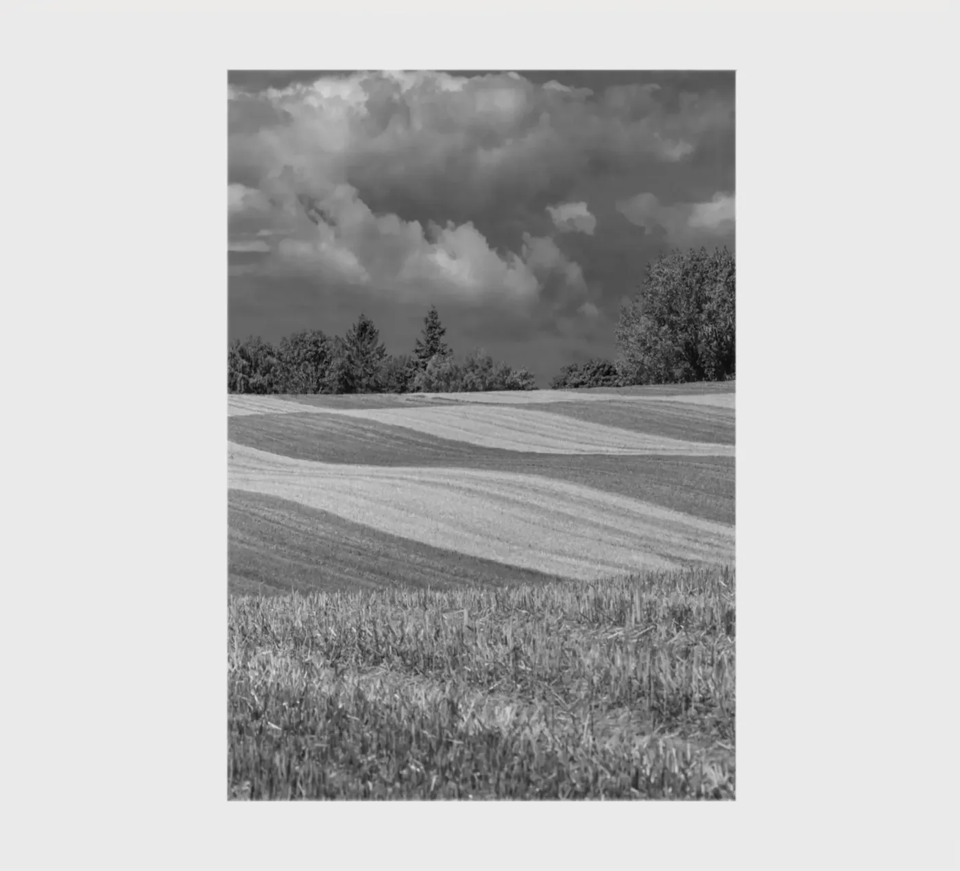 Stubble fields 2 notebook by Barbara Buderath Fotodesign