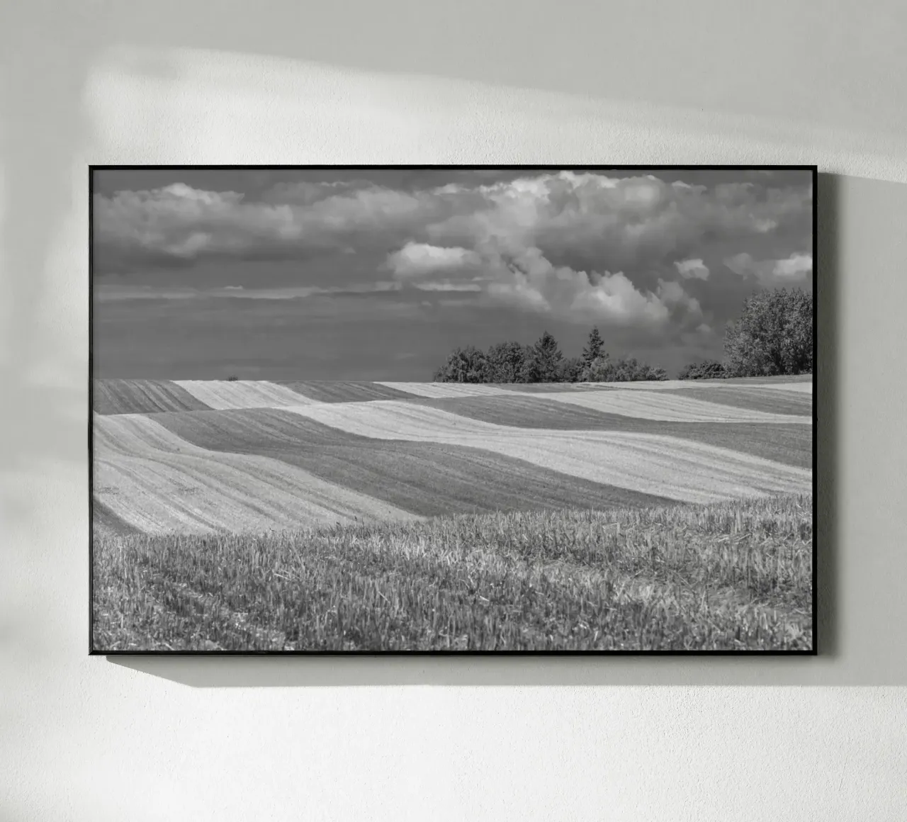 Stubble fields 2 plexiglass da Barbara Buderath Fotodesign