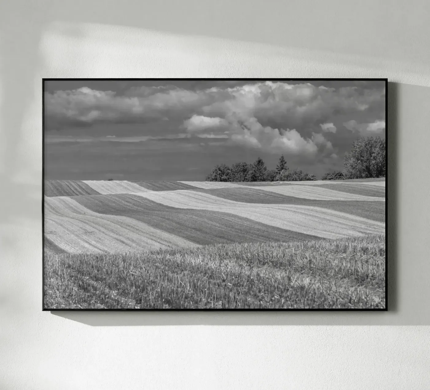 Stubble fields 2 plexiglass da Barbara Buderath Fotodesign