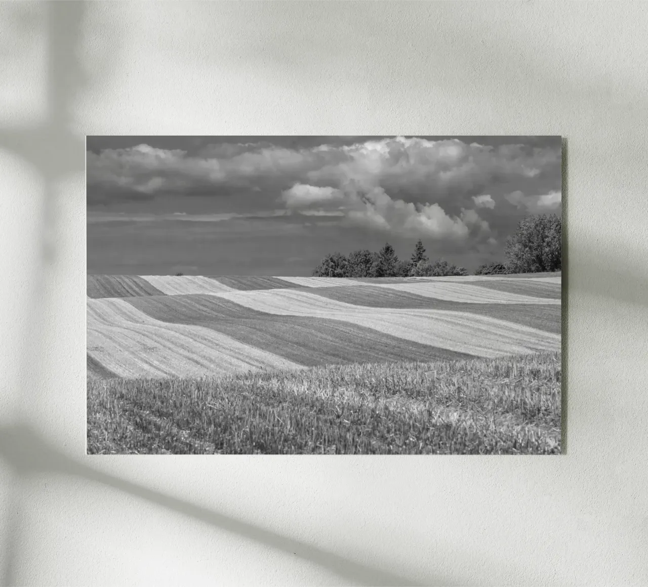 Stubble fields 2 plexiglass da Barbara Buderath Fotodesign