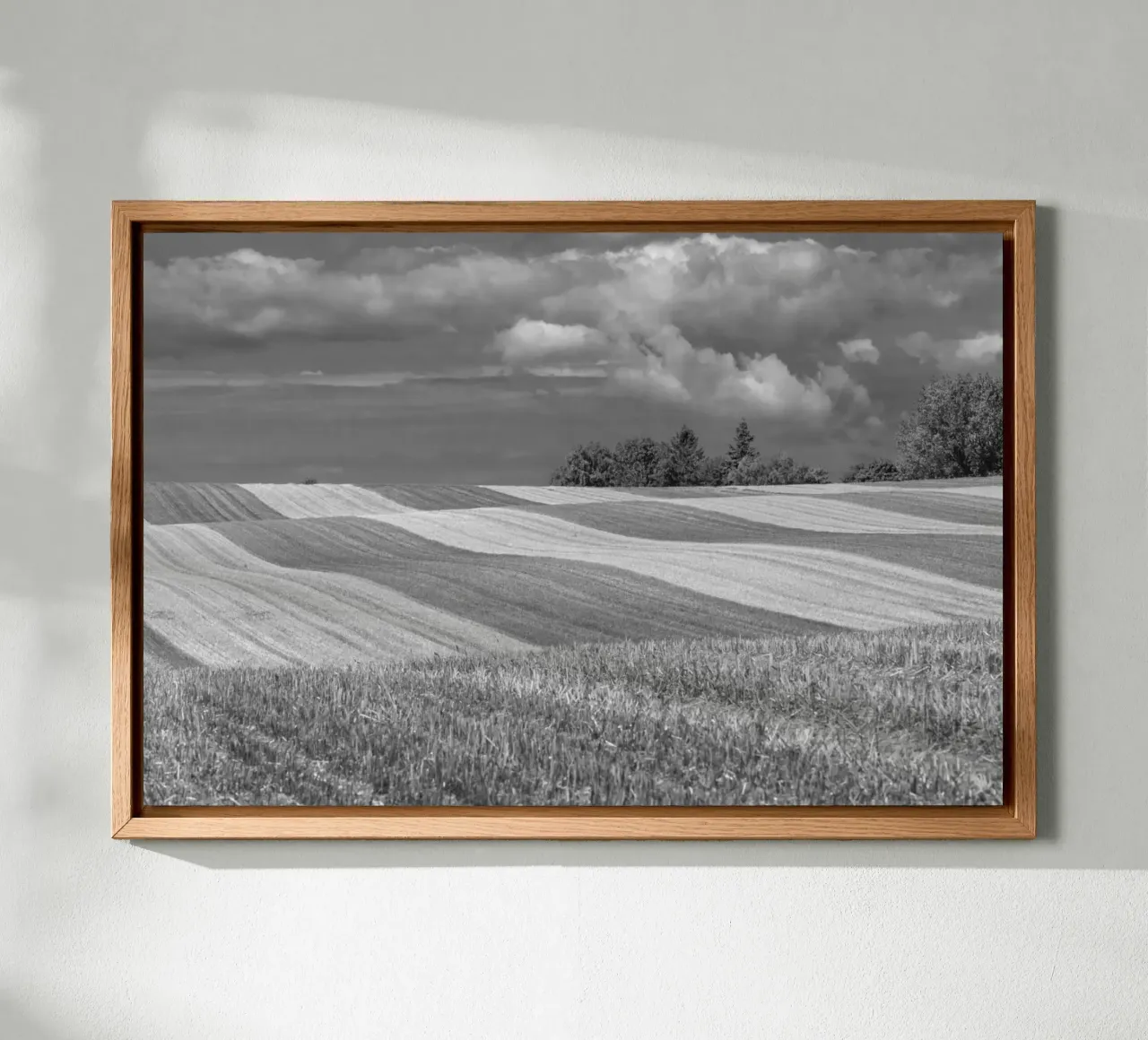 Stubble fields 2 alu-dibond by Barbara Buderath Fotodesign