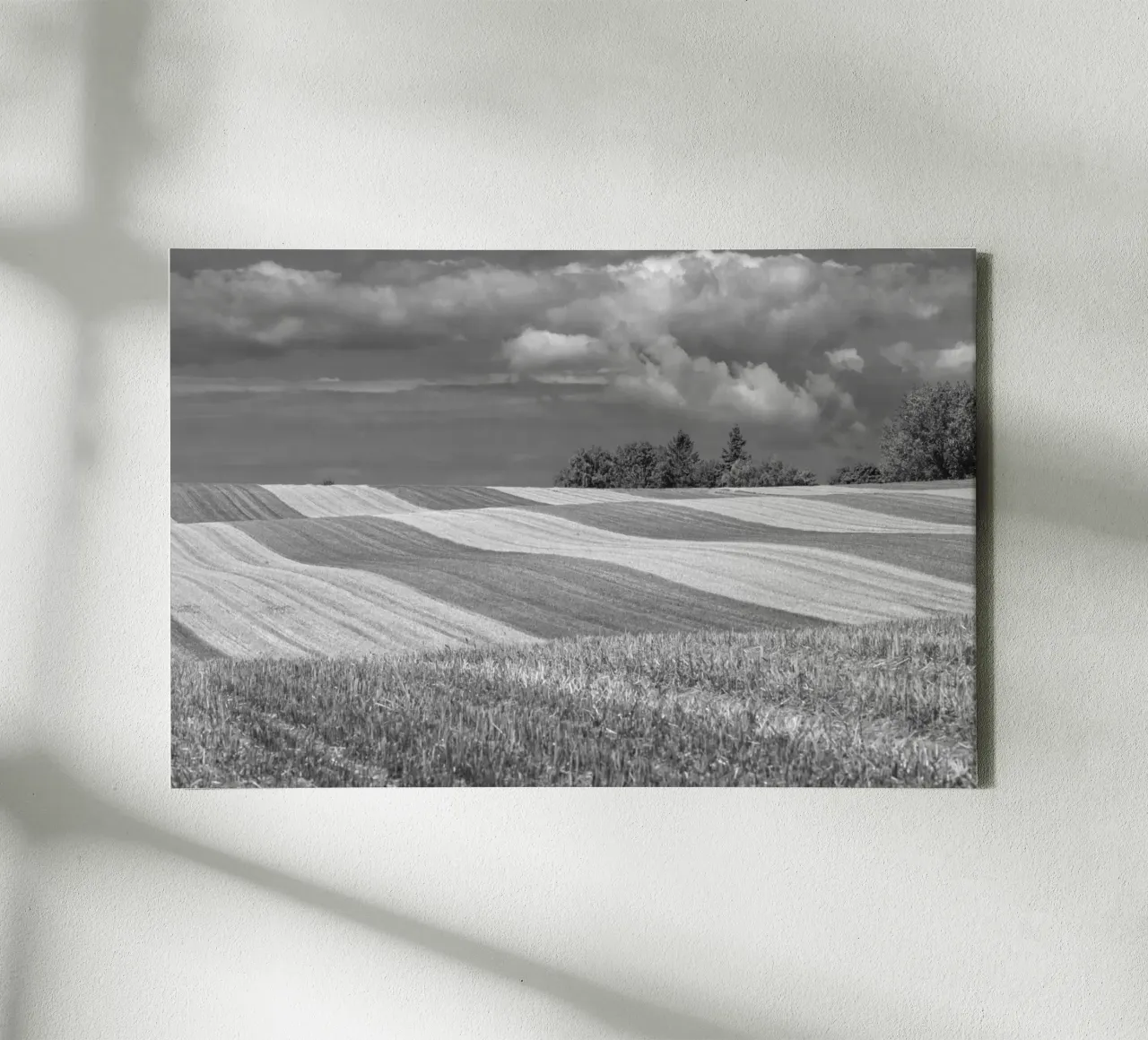 Stubble fields 2 canvas by Barbara Buderath Fotodesign
