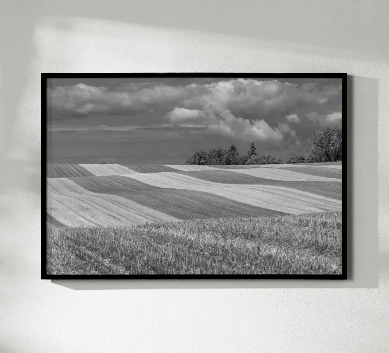 Stubble fields 2 poster by Barbara Buderath Fotodesign