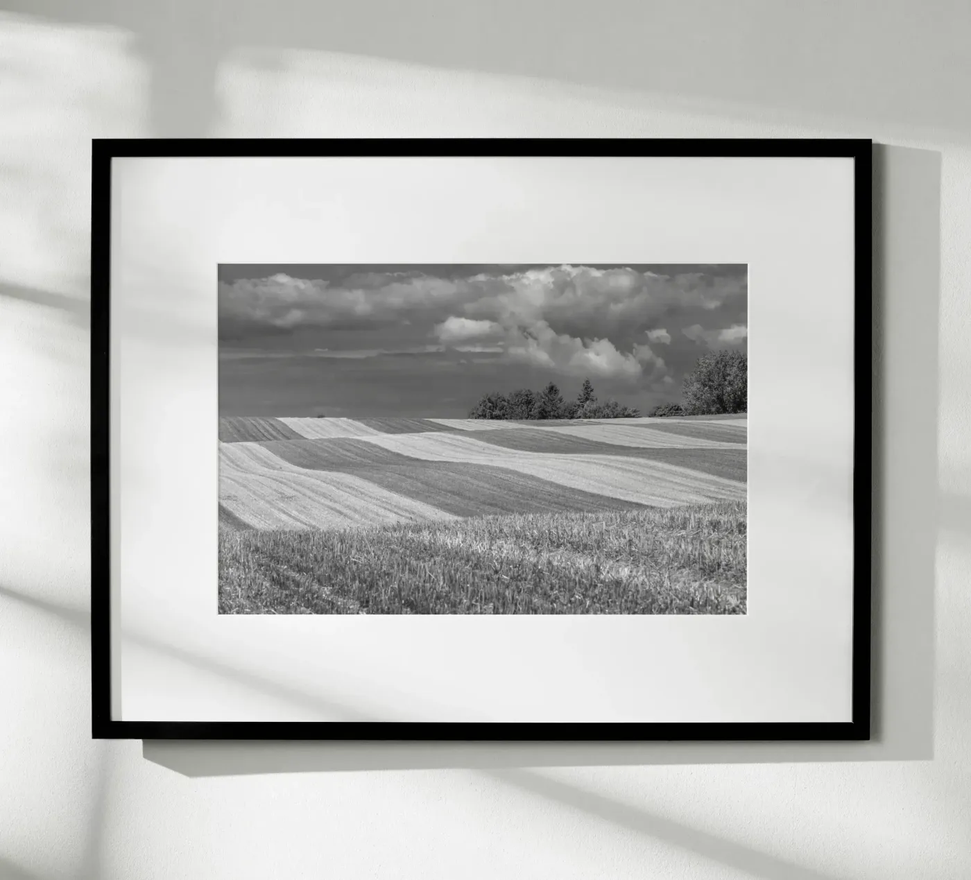 Stubble fields 2 Poster von Barbara Buderath Fotodesign