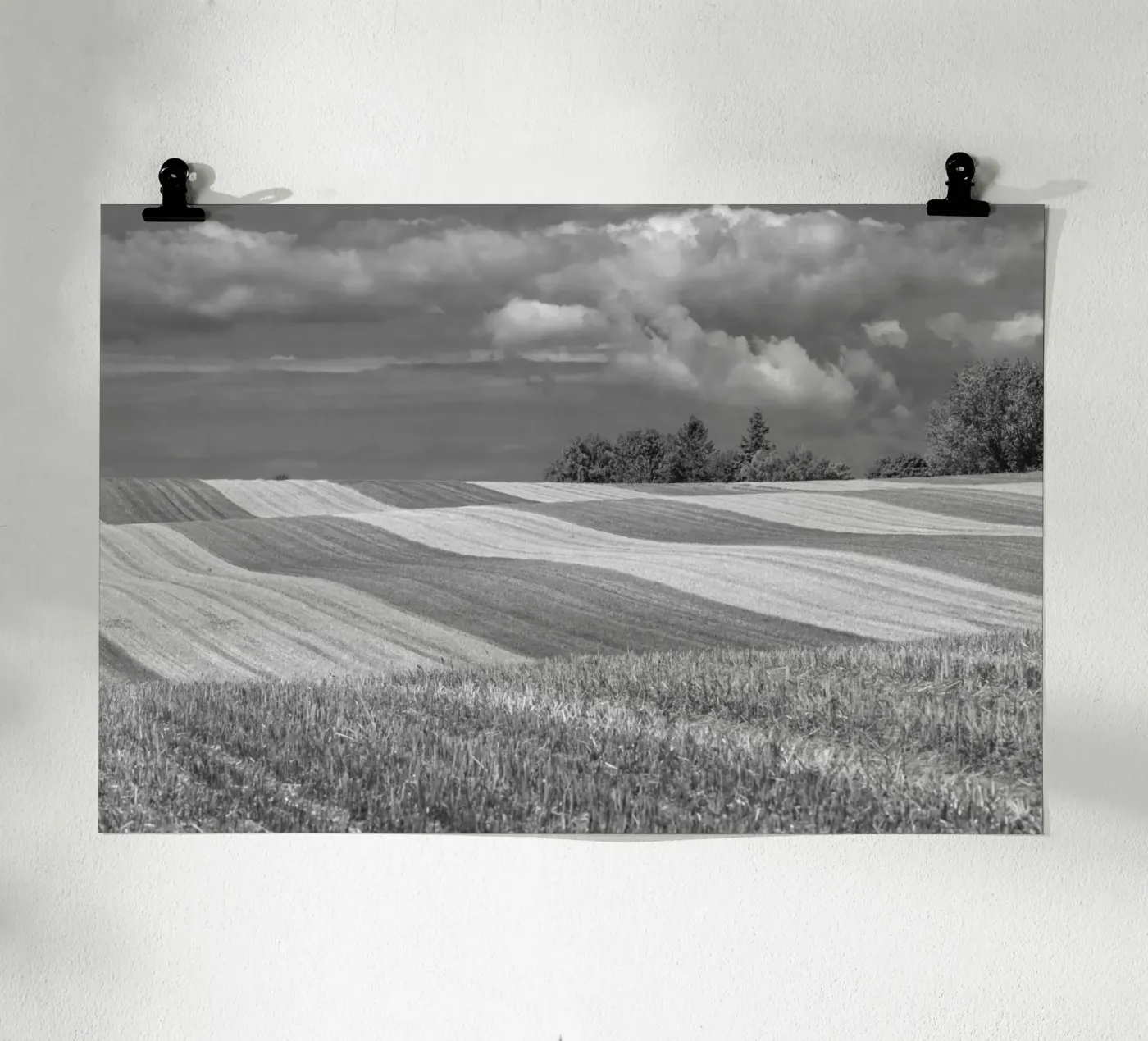 Stubble fields 2 Poster von Barbara Buderath Fotodesign