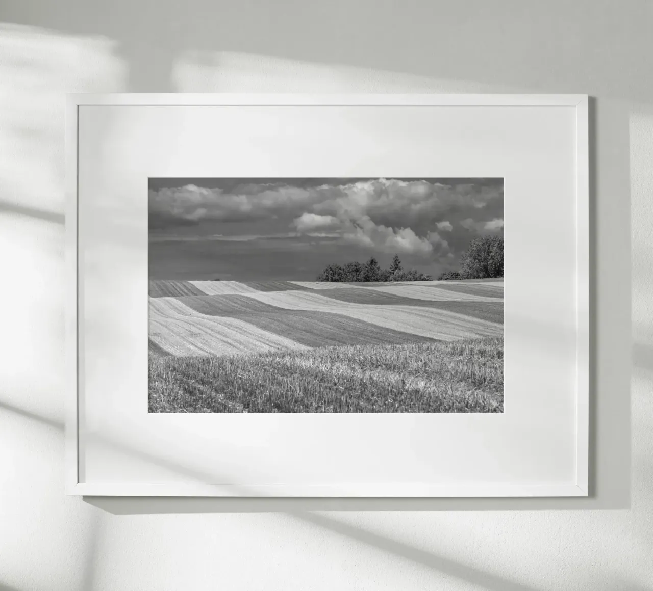 Stubble fields 2 poster by Barbara Buderath Fotodesign